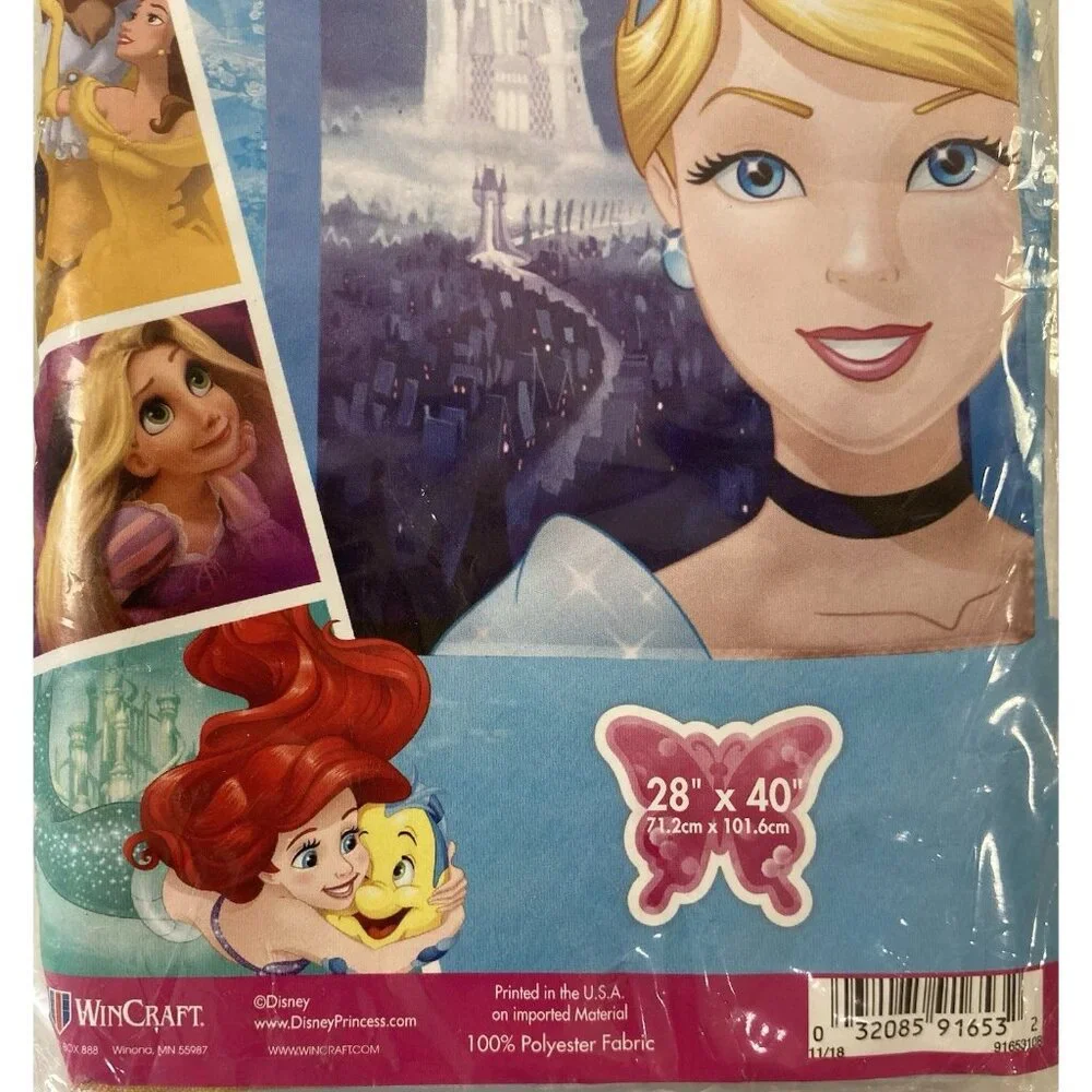 Disney Princess Cinderella Flag Party Banner Birthday Indoor Outdoor 28